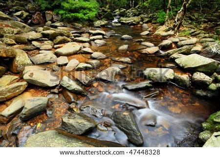 beautiful water spring in forest