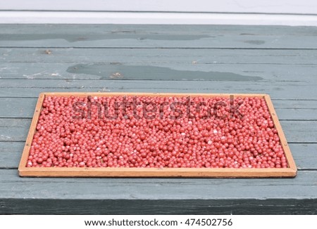 Lingonberries on a tray