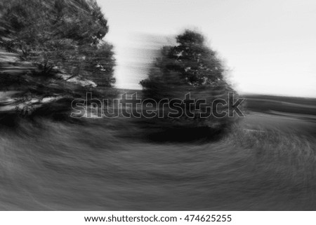 Motion blurred black and white photographic background with trees and other vegetation against blue sky