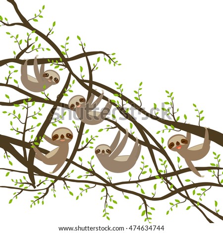 card banner template with funny and cute smiling Three-toed sloth set on green branch tree creeper, copy space isolated white background. Vector