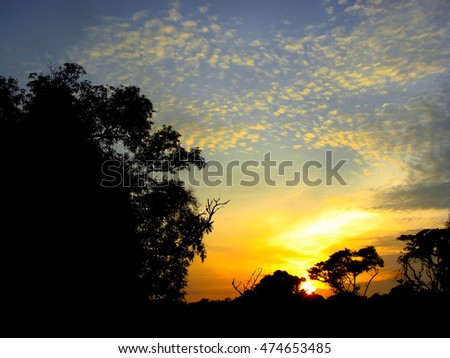 colorful dramatic sky with cloud at sunset                  