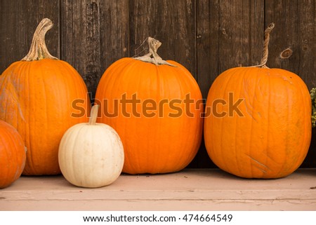 Gourds and Pumpkins on a farmstand table in autumn