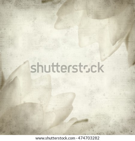 textured old paper background with white waterlily flower
