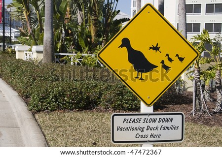 Duck crossing sign and instructions to slow down