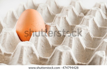 cardboard tray one brown egg on a white background.
