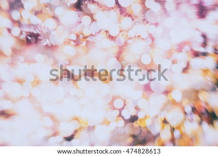 Elegant abstract background . Festive elegant abstract background with bokeh lights and stars Texture . Magic Background 