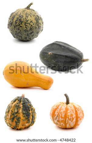Composite picture of five different gourds