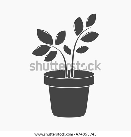 Plant icon of vector illustration for web and mobile