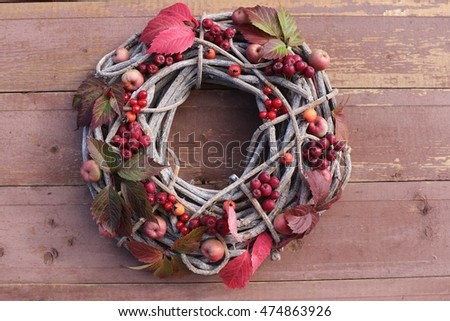 Autumn wooden of wine wreath of colorful leaves and fresh red berries, viburnum, rowan, apples on old rustic pink wooden background. Natural daylight, outdoor and space