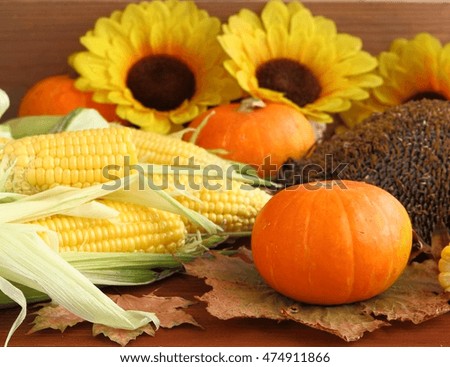 Autumn still life with pumpkins, corn, leaves  and sunflowers.