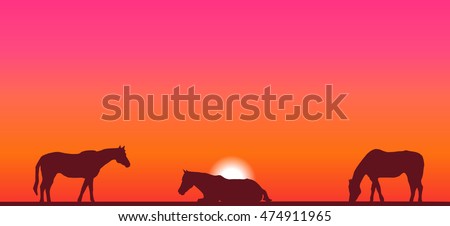 Horses on a colorful sunset background