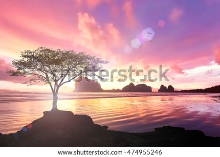 Cost travel management concept: Colorful sunset at Pak Meng Beach, Trang, Thailand, Asia