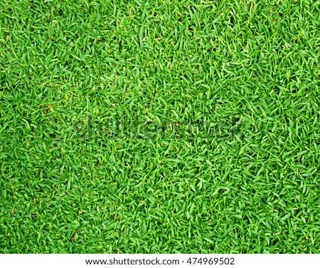 Green grass background turf grass surface abstract
