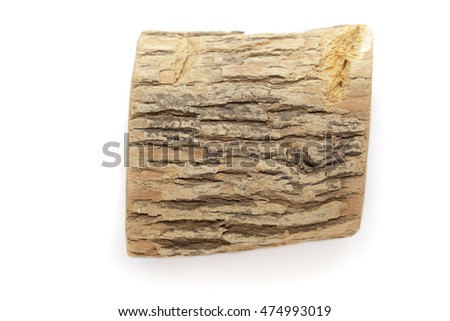 Organic dry wood piece of Horseradish tree (Armoracia rusticana). Isolated on white background. Top view.