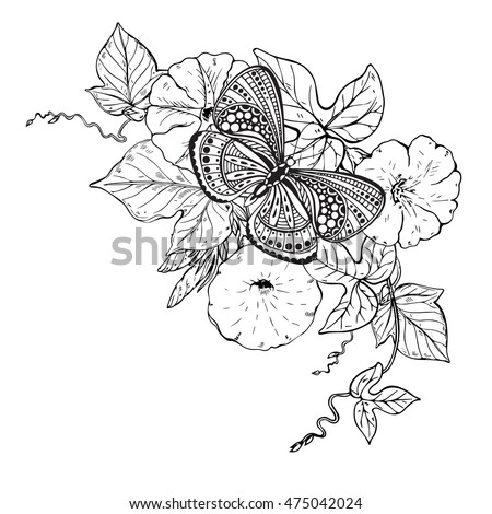 Vector illustration of hand drawn graphic butterfly on bindweed flower branch. Black and white image for for coloring book, tattoo, print on t-shirt, bag, invitations and greeting cards