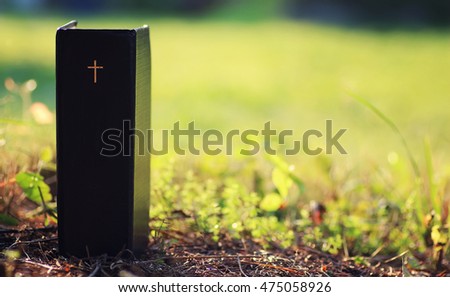 book with cross in nature