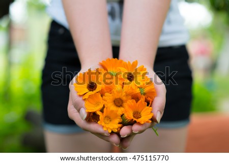Young girl holding a marigold flower, standing in the garden.