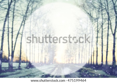 blurred forest with white circle