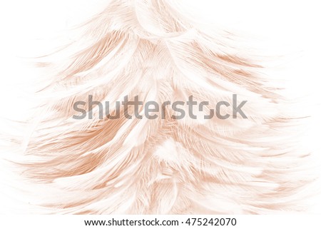 Brown vintage color trends feather texture abstract background