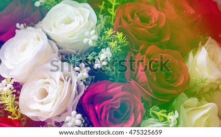 bouquet of roses with gradient for background.