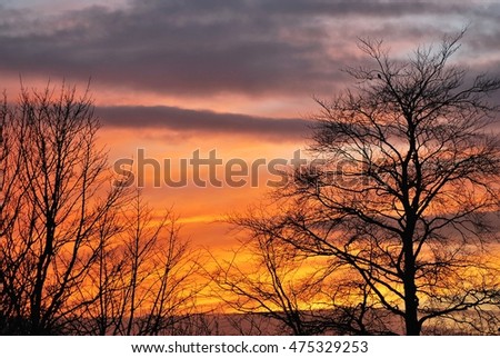 Silhouetted with trees and dramatic colorful sunset and sunrise bright colors beautiful sky. Autumn landscape.