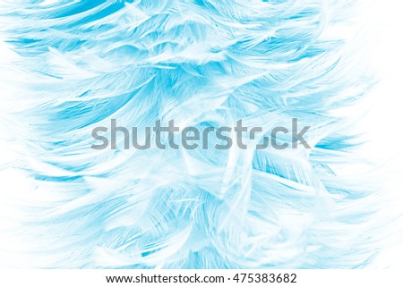 green turquoise vintage color trends feather texture background