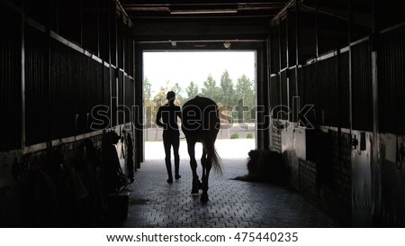 Young jockey is walking with a horse out of a stable. Man leading horse out of stable. Rear back view. Steadicam shot Royalty-Free Stock Photo #475440235