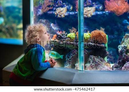 Little boy watching tropical coral fish in large sea life tank. Kids at the zoo aquarium. 