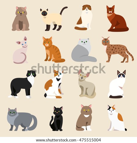 Cat breeds cute pet animal set vector illustration Royalty-Free Stock Photo #475515004