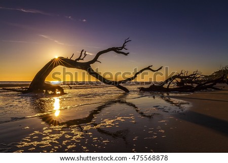 Sunrise over a driftwood-covered beach -Jekyll Island, Georgia, United States Royalty-Free Stock Photo #475568878