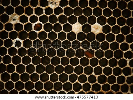 Close up view of natural honeycomb, Honeycomb texture background.