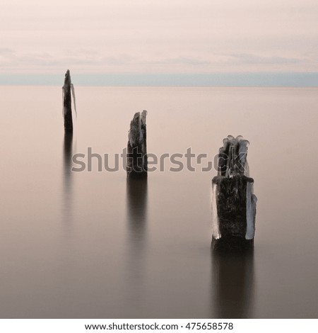 old wooden waterbreak in winter, at baltic sea