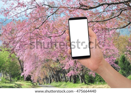 human hand hold and touch smartphone, tablet, cell phone with blank screen on blurry nature background.
