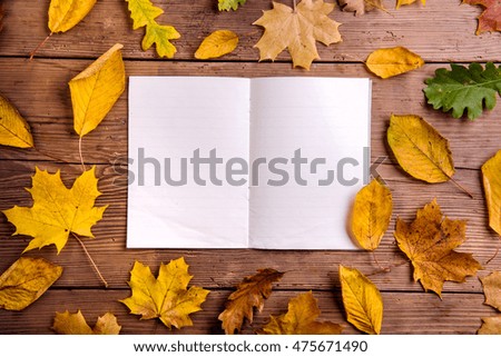 Autumn leaf composition, notebook. Studio shot, wooden back
