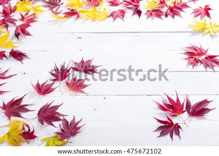  autumn leaves on white wooden