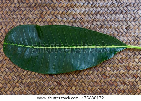 Leaves over wooden background