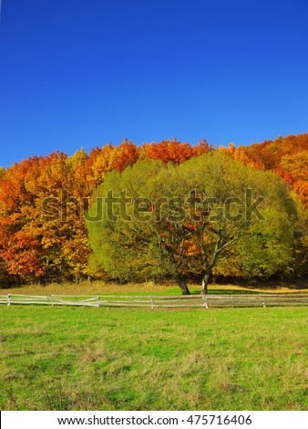 Country scenery on late autumn season. Blue sky