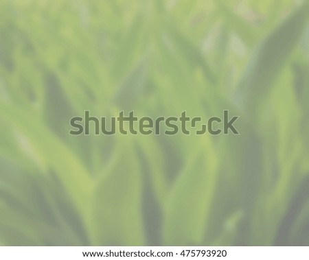 green foliage, blurred background with a light tone