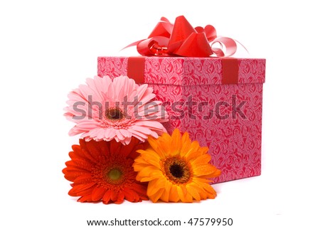 Gerber flowers and gift box on white background