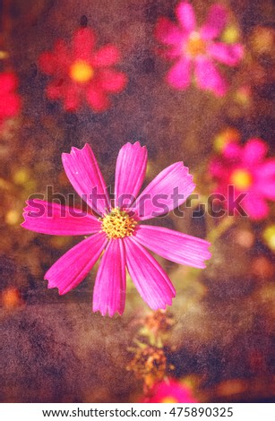 Pink flowers on grunge texture. Old photo effect