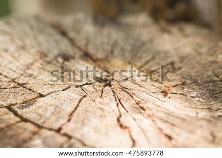 Surface dilapidated stump