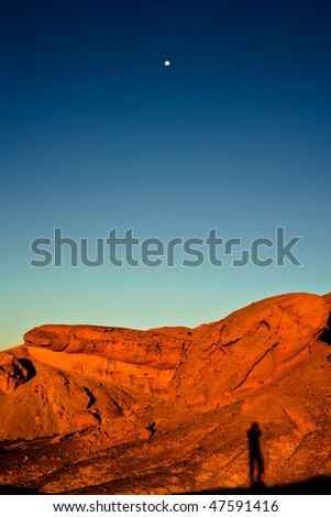 Self Expression at the Time, Namib Desert, Namibia