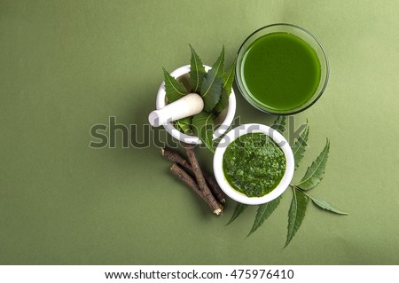 Medicinal Neem leaves in mortar and pestle with neem paste, juice and twigs on green background Royalty-Free Stock Photo #475976410