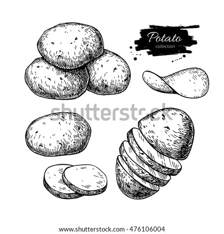 Potato drawing set. Vector Isolated potatoes heap, sliced pieces and chips. Vegetable engraved style illustration. Detailed vegetarian food sketch. Farm market product. Great for label, banner, poster Royalty-Free Stock Photo #476106004