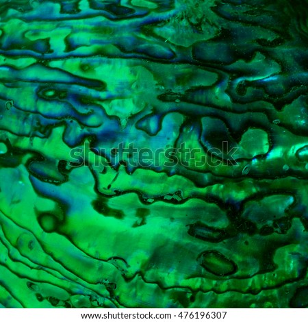 Green Abalone Texture