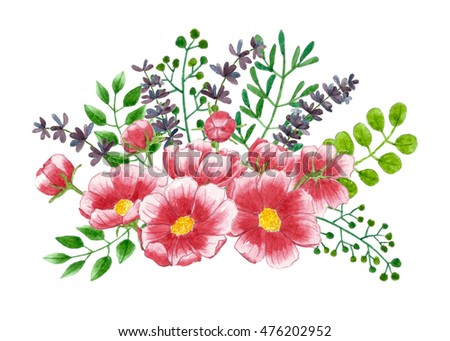 Beautiful flowers watercolor illustration. Cosmos flowers and Lavender flowers
