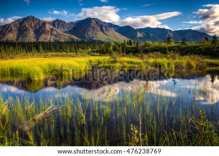View of a mountain range in Denali National Park, Alaska with a reflection in a close lake on a bright summer day Royalty-Free Stock Photo #476238769