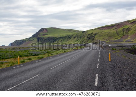 Road between lupines in Iceland