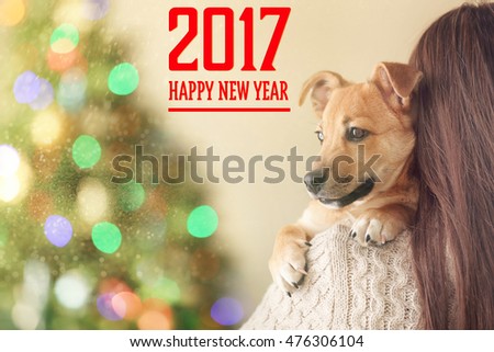 Christmas card. Small funny cute dog at woman shoulder on blurred Christmas background