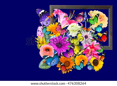 Nature art composition on dark blue background. Colorful flowers, butterflies and ladybug. Wooden frame with blank space (for photo,picture or text). 